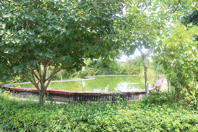 乐鱼官方网站-乐鱼(中国)机械厂区环境优美.jpg